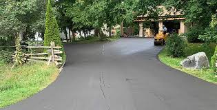 Best Driveway Pressure Washing  in Palm Harbor, FL